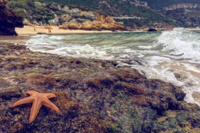 Arrabida Safari – Europe's Most Beautiful Beach & Hidden Gems - Galapinhos Beach: Time to Actually Be at the Beach