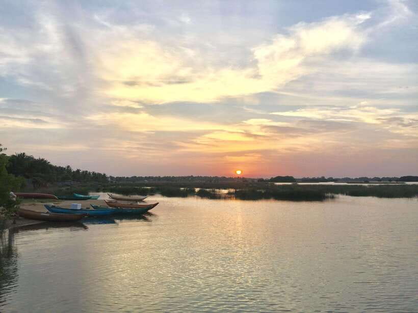 Arugambay :Pottuvil Lagoon Mangrove Eco Boat Safari Tours - Birds watching with English guides like Shiham, Ibrahim, and Imam