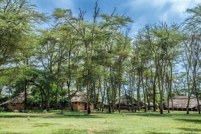 Arusha: 5 days Safari Trip Tarangire, Lake Manyara and Ngorongoro - The Northern Circuit in 5 days: a smart, high-hit itinerary
