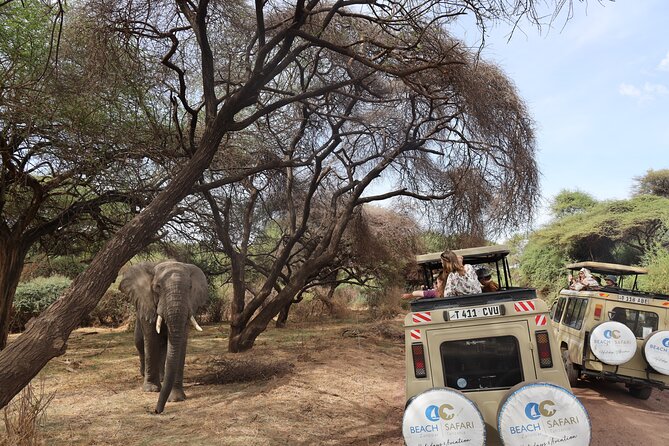 Arusha: 5 days Safari Trip Tarangire, Lake Manyara and Ngorongoro - Pickup, drop-off, and how the drive days feel in real life
