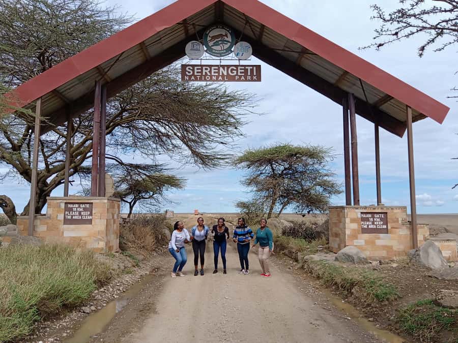 Arusha: Serengeti and Ngorongoro Multi-Day Camping Safari - Serengeti and Ngorongoro in Four Days: What You’re Actually Buying