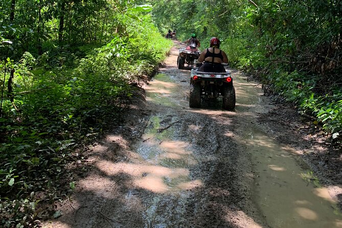 ATV Jungle Safari Tour from Montego Bay - Jungle ATV riding: puddles, animals, and riverside stops