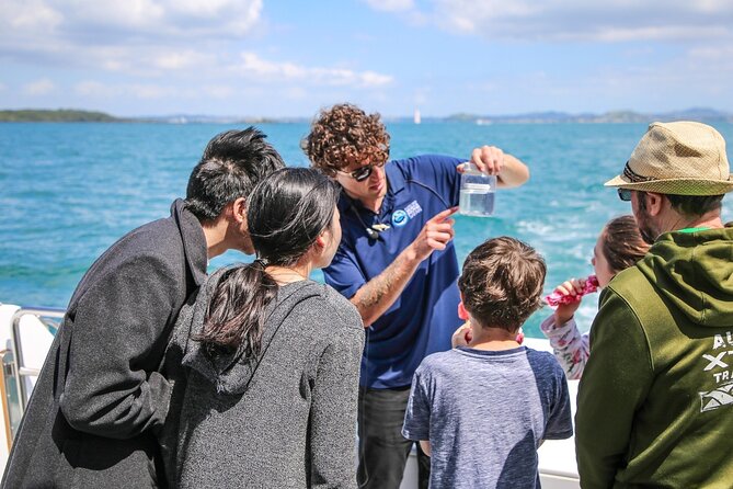 Auckland Dolphin and Whale Watching Eco-Safari Cruise - Birds and penguins: the wildlife day doesn’t end with whales