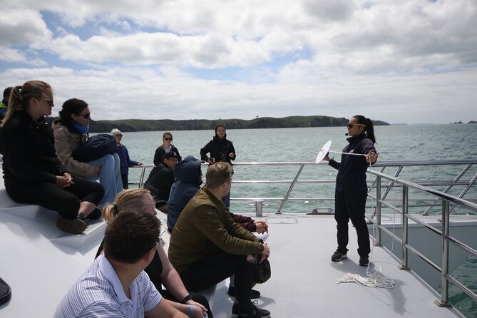 Auckland Dolphin and Whale Watching Eco-Safari Cruise - Deck strategy and photo timing when it matters most