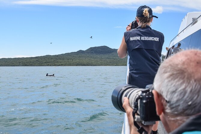 Auckland Dolphin and Whale Watching Eco-Safari Cruise - Comfort, timing, and how to not get wrecked by Auckland weather