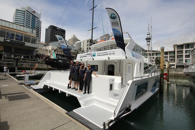 Auckland Dolphin and Whale Watching Eco-Safari Cruise - Route highlights: from maritime history to island passes