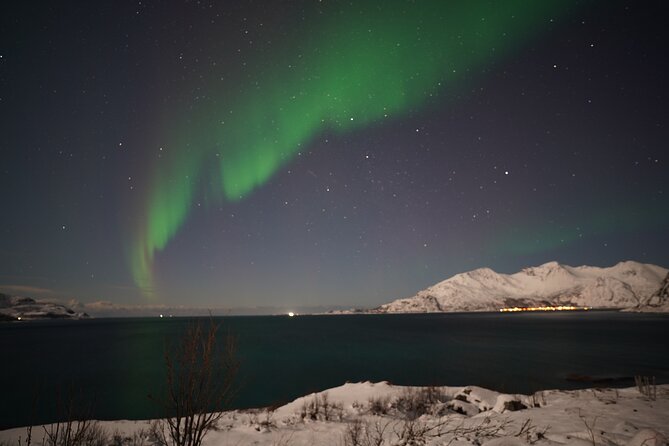 AURORA DAİLY Northern Lights Safari Tour 8 Guests with PİCKUP - Key things to know before you go