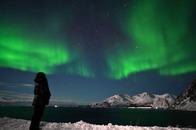 AURORA DAİLY Northern Lights Safari Tour 8 Guests with PİCKUP - The Aurora Plan: Forecasts, Quiet Roads, and Finland If Needed