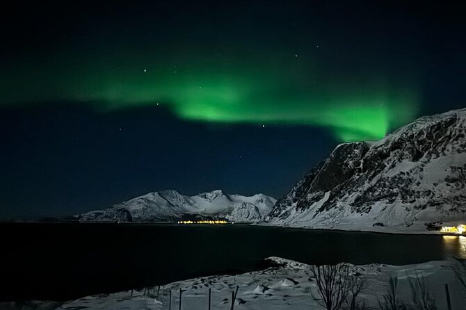 AURORA DAİLY Northern Lights Safari Tour 8 Guests with PİCKUP - Price and Value: Is $290.10 a Good Deal?