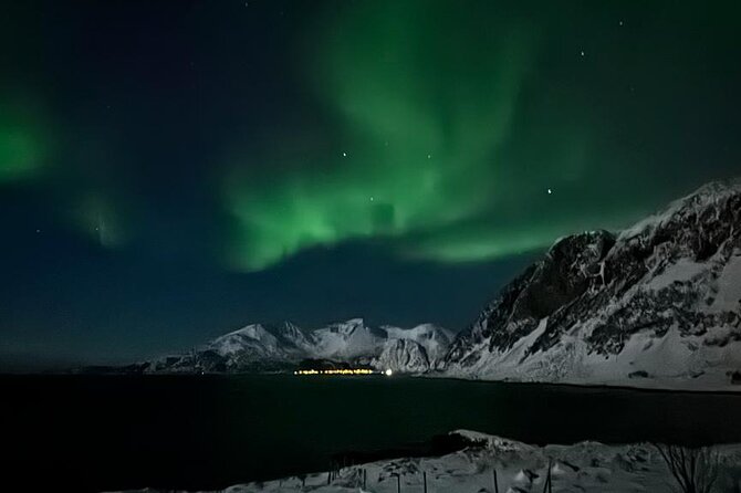 AURORA DAİLY Northern Lights Safari Tour 8 Guests with PİCKUP - Should You Book This Aurora Safari in Tromsø?