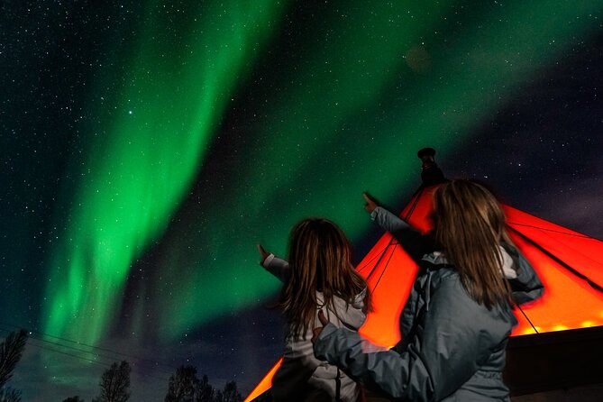 Aurora Safari Chase by big bus, free Photos, toilet onboard - Optional Upgrade: Reindeer Stew or Fish Soup (Worth It for Some)