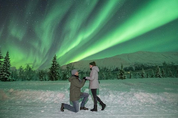 Aurora Safari Chase by big bus, free Photos, toilet onboard - Group Size and the Big Bus Reality