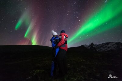 Aurora Safari Minibus, private locations all around the region - Price and What You Really Get for $193.13