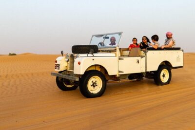 Authentic Safari in Vintage Land Rover with Traditional Dinner - Vintage Land Rover Nature Safari: Wildlife, Not Just Sand