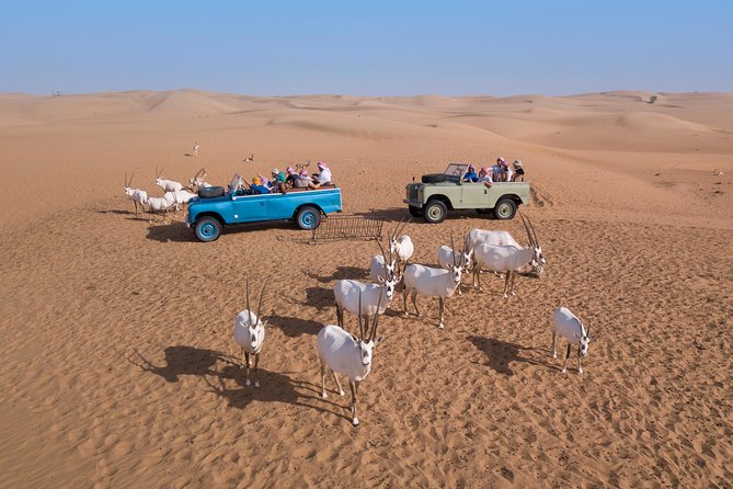 Authentic Safari in Vintage Land Rover with Traditional Dinner - Return Ride and Timing: What the Schedule Really Feels Like