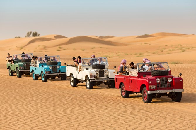 Authentic Safari in Vintage Land Rover with Traditional Dinner - Who Should Book This Safari (and Who Might Not Love It)