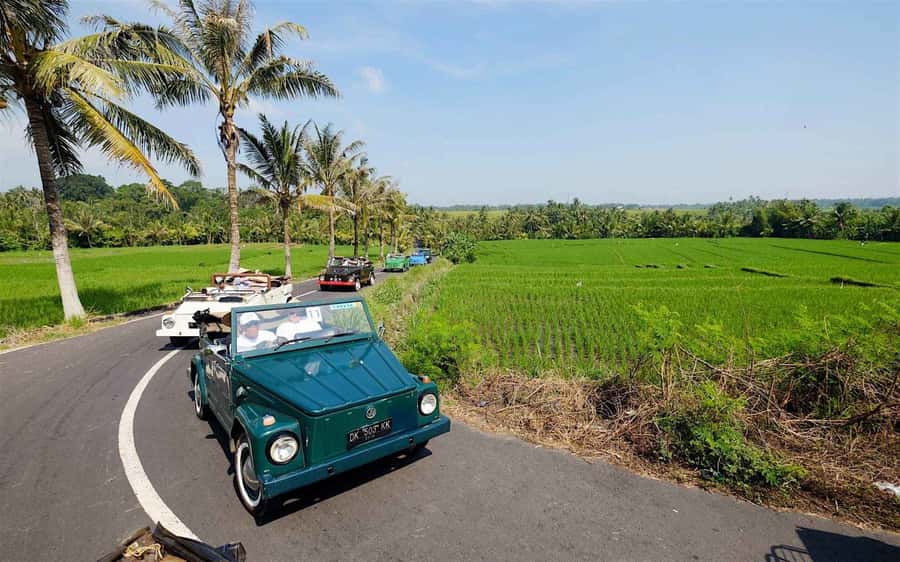 Bali: Vintage VW Jeep Countryside Safari - Key takeaways before you go