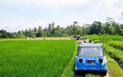 Bali: Vintage VW Jeep Countryside Safari - The 7:00 AM Start and How the Day Flows