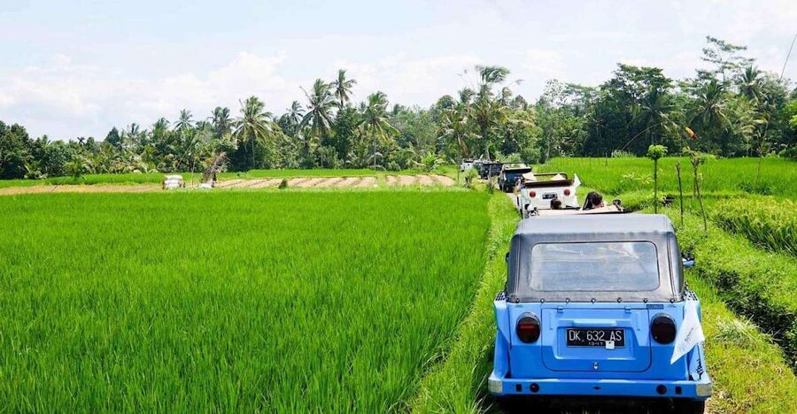 Bali: Vintage VW Jeep Countryside Safari - Lunch at a Balinese House: Hindu Dharma in Everyday Life