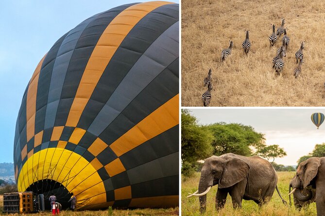 Balloon Safari & Bush Breakfast in Tarangire - Miracle Experience - Quick highlights