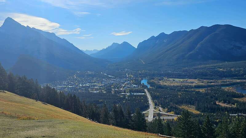Banff: Evening Wildlife Safari Guided Tour - Why dusk in Banff boosts your chances