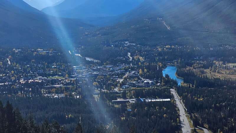 Banff: Evening Wildlife Safari Guided Tour - Value for about $55: what you get for your evening