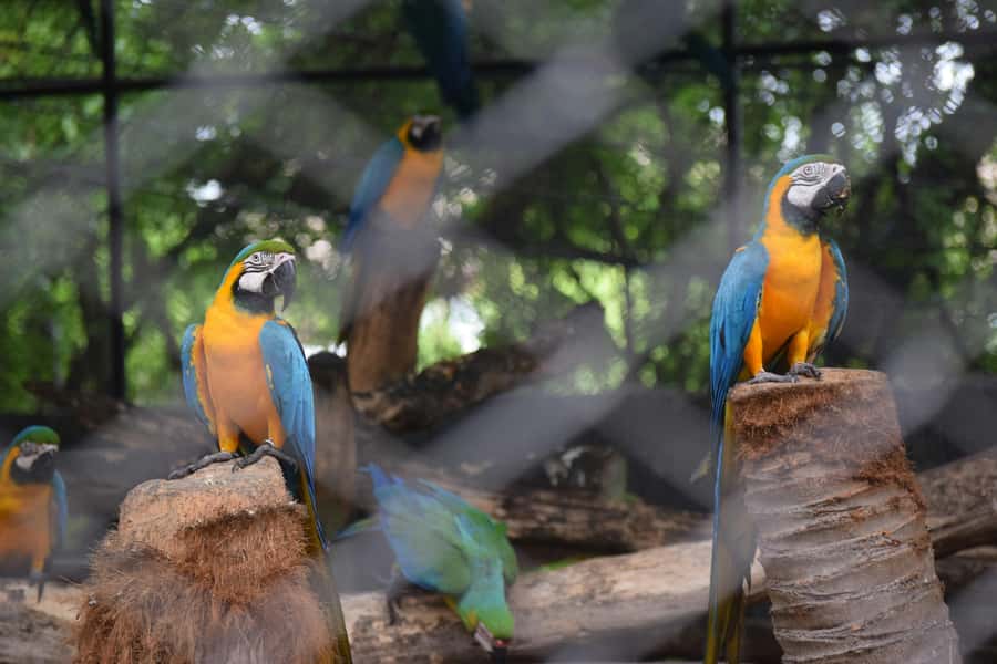 Bangkok Safari & Marine Park - Key highlights worth planning for