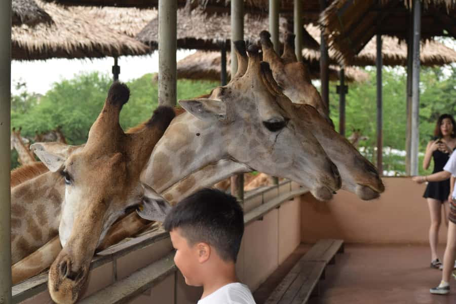 Bangkok Safari & Marine Park - Eight hours inside Safari World: how to spend it without burning out