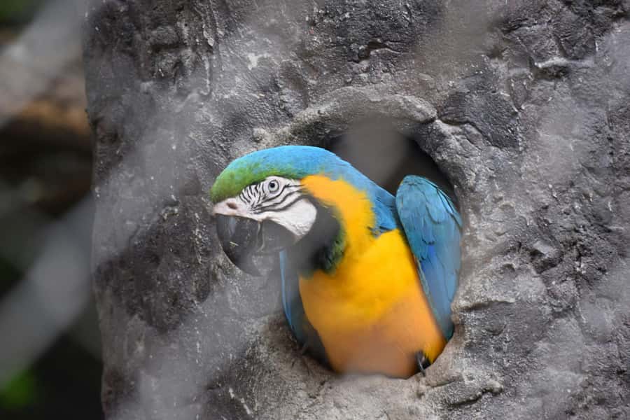 Bangkok Safari & Marine Park - Tickets and price: the value question you should answer before you book