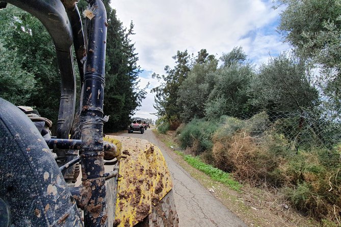 Beach & Off road Buggy Safari in Paphos - Mandria Beach Bar Shack: The Break That Makes the Ride Feel Balanced