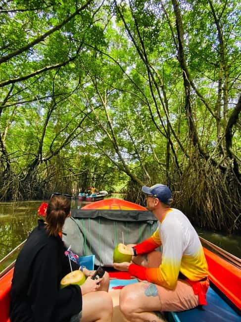 Bentota River Safari: Discover Wildlife & Mangroves by Boat - The 2-hour cruise: what the “tempo” feels like