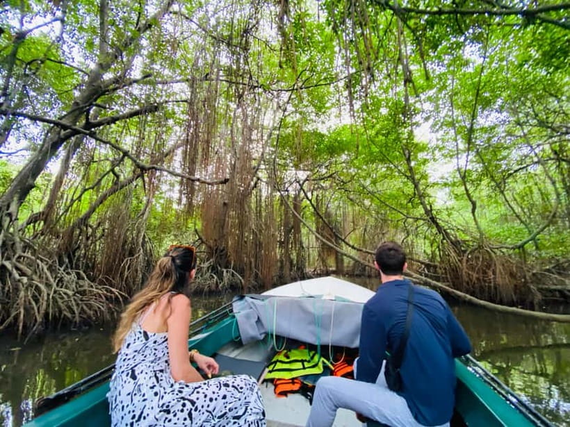Bentota River Safari: Discover Wildlife & Mangroves by Boat - Crocodile-handling moments and coconut breaks