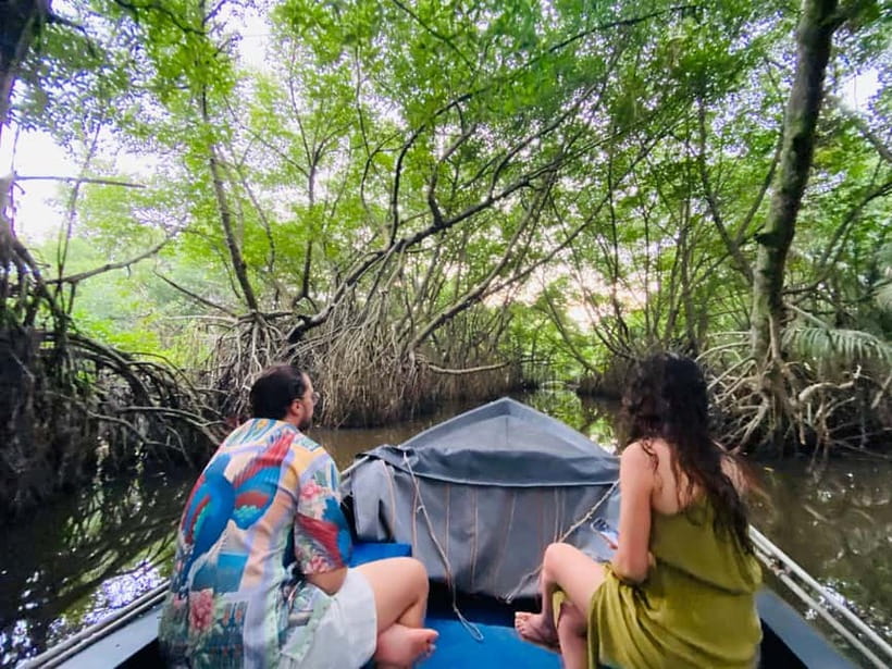 Bentota River Safari: Discover Wildlife & Mangroves by Boat - What to bring so the safari feels comfortable