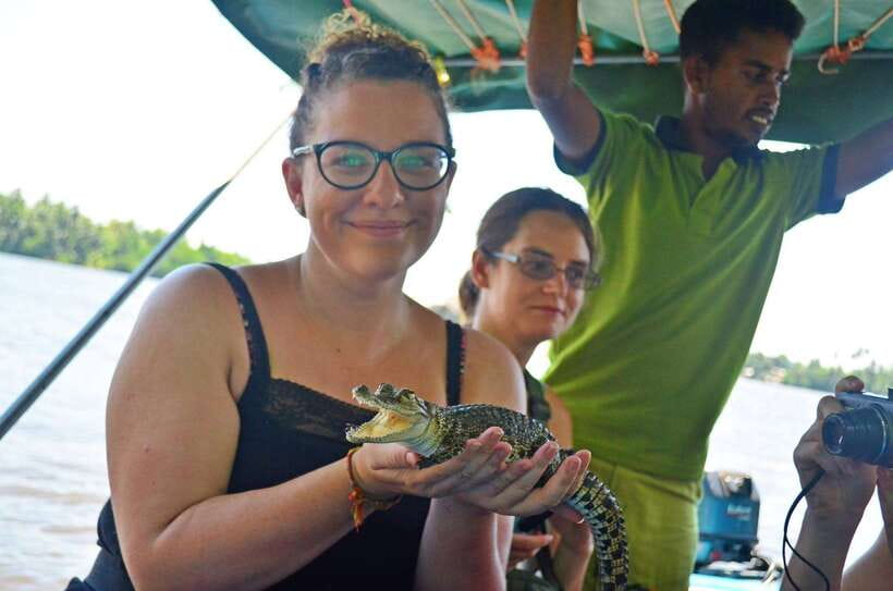 Bentota River Safari with Mangrove and Wildlife Encounter - Key things that make this safari worth your time
