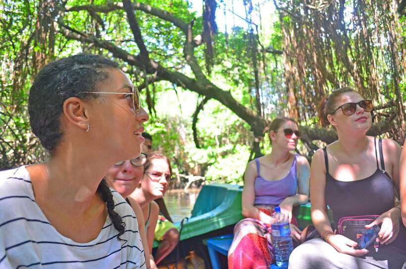 Bentota River Safari with Mangrove and Wildlife Encounter - Bentota River safari: mangroves, mangrove edges, and why wildlife shows up