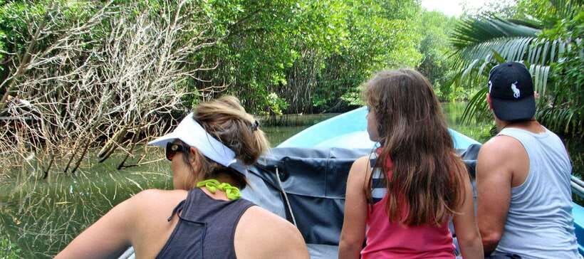 Bentota River Safari with Mangrove and Wildlife Encounter - Boat ride route: what you’ll actually see on the Bentota River