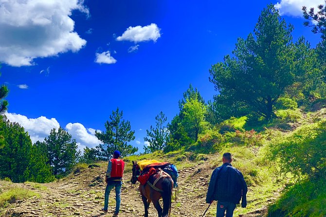 Berat Hiking Off Road picnic lunch in Tomori Holy Mount - Price and value: why $102.12 makes sense here