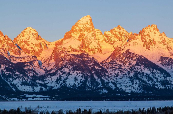 Best of Jackson Hole Wildlife Safari Tour - Antelope Flats stop: open-ground scanning and quick photo windows