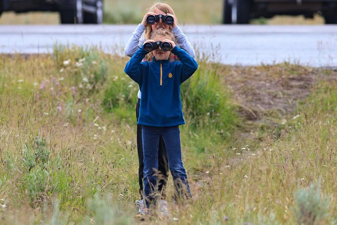 Best of Yellowstone - Guided National Park Safari Tour - The Guide + Wildlife Gear Factor (Why You’ll Spot More Than You Think)