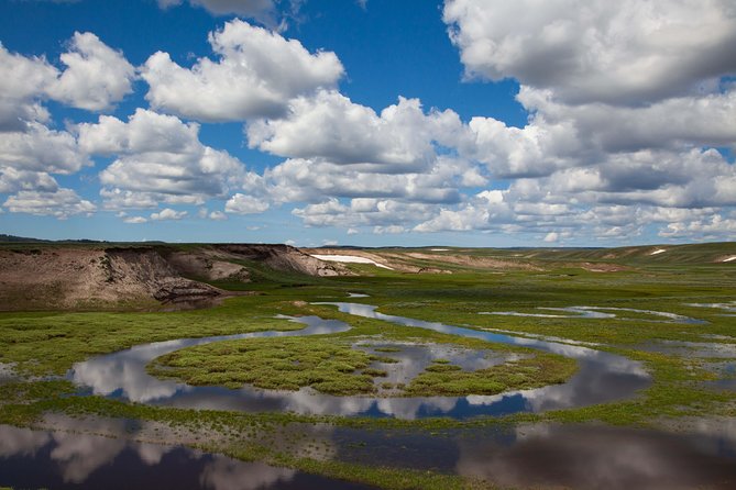Best of Yellowstone - Guided National Park Safari Tour - Entering Yellowstone: What the 6 Hours Inside Really Means