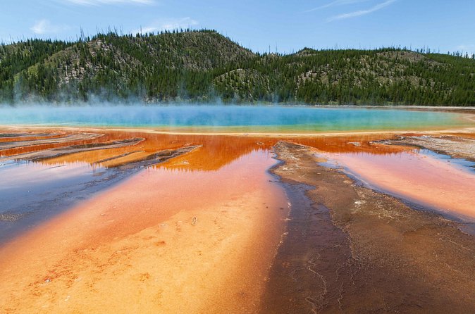 Best of Yellowstone - Guided National Park Safari Tour - Grand Loop Road and the Continental Divide: Quick Stops, Real Payoff