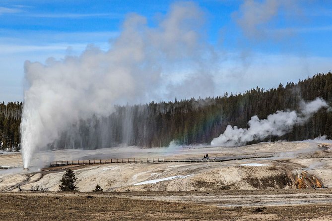 Best of Yellowstone Private National Park Safari Tour - Hayden Valley: Where Wildlife Scanning Feels Like a Game