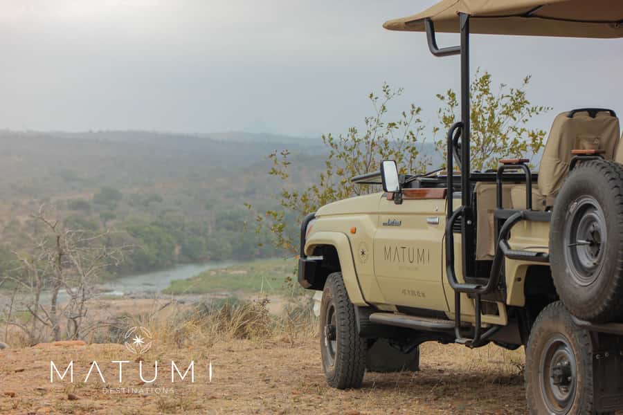 Big 5 Safari Am or Pm - Why This Big 5 Safari from Hoedspruit Fits Real Travel Days