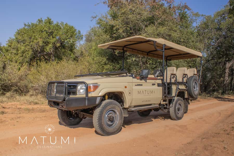 Big 5 Safari Am or Pm - Meeting Points and Timing: How the 4 Hours Actually Works
