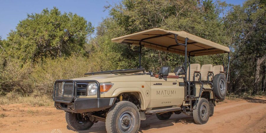 Big 5 Safari Am or Pm - Wildlife Chances You Can Plan For: Lions, Leopards, Elephants, Rhinos, Buffalo, Birds