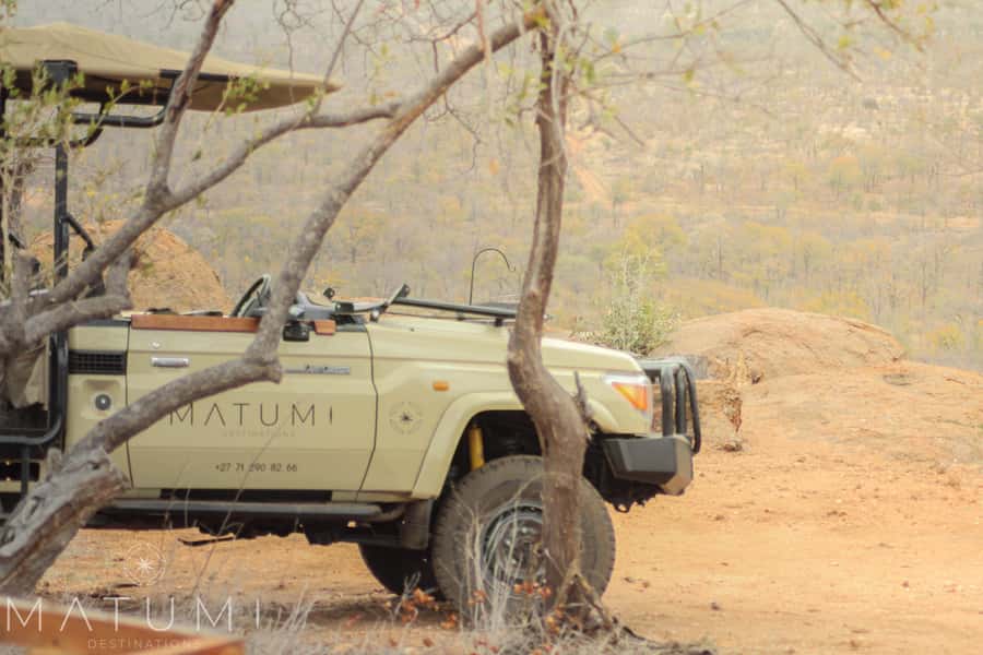 Big 5 Safari Am or Pm - Open Safari Vehicles: Why It Changes How You See Animals