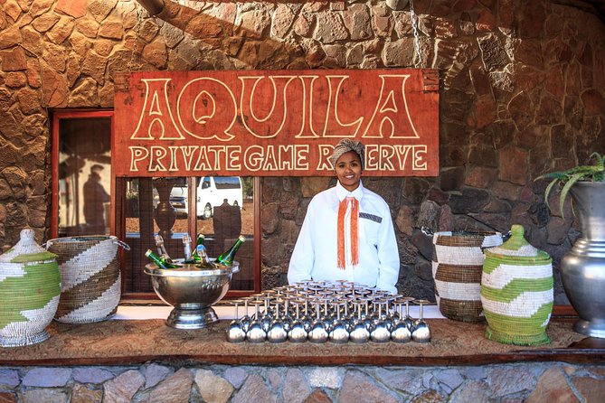 Big Five Game Reserve Wildlife Safari from Cape Town - Who This Tour Fits Best (and Who Should Think Twice)