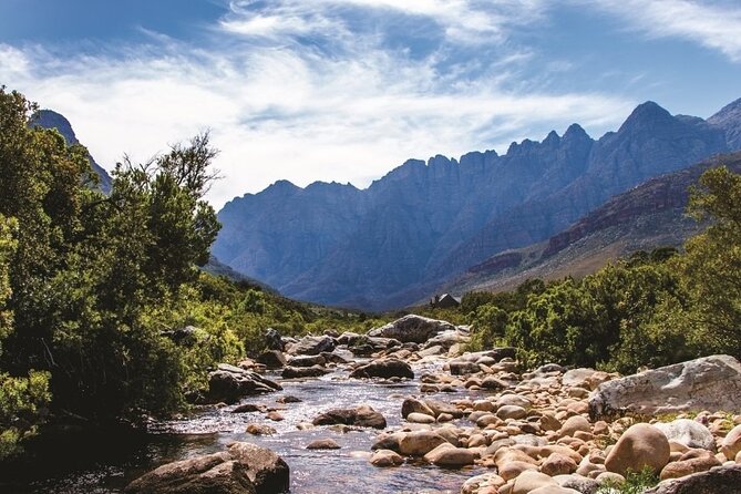 Big Five Safari and Breede River Valley Guided Day Trip - One-day safari math: what this trip really delivers