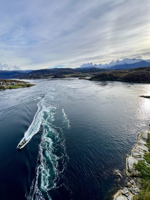 Bodø: Saltstraumen RIB Safari - The RIB ride from Hurtigruten quay: speed, spray, and focus