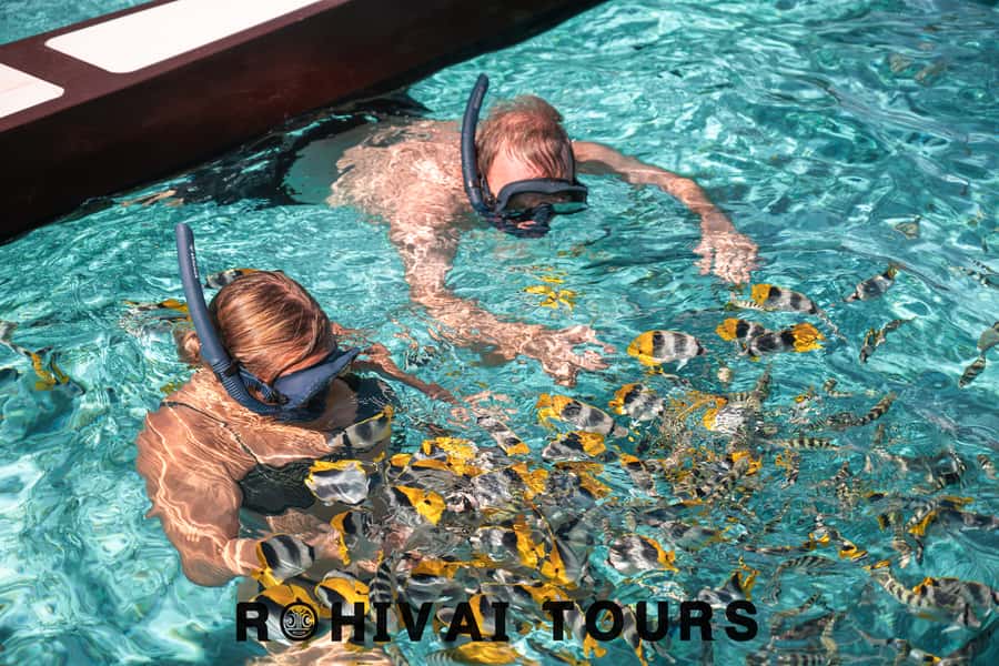 Bora Bora: 1/2 day lagoon safari - Shared tour - Coral garden snorkeling: why this stop is worth your time